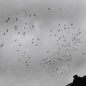 欧美成人h在线观看完整版
