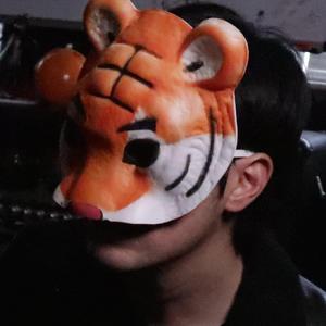 欧美成人h在线观看完整版
